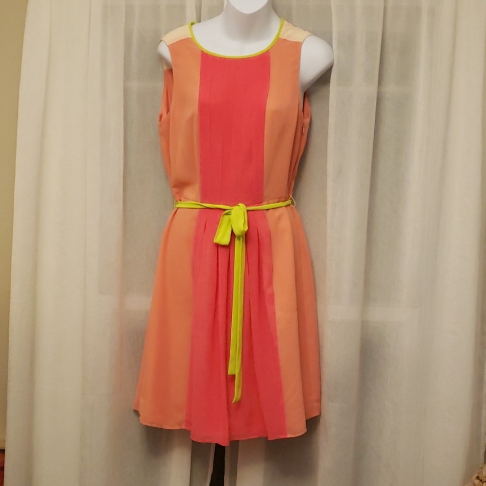 Ann Taylor Loft Pink Color block dress